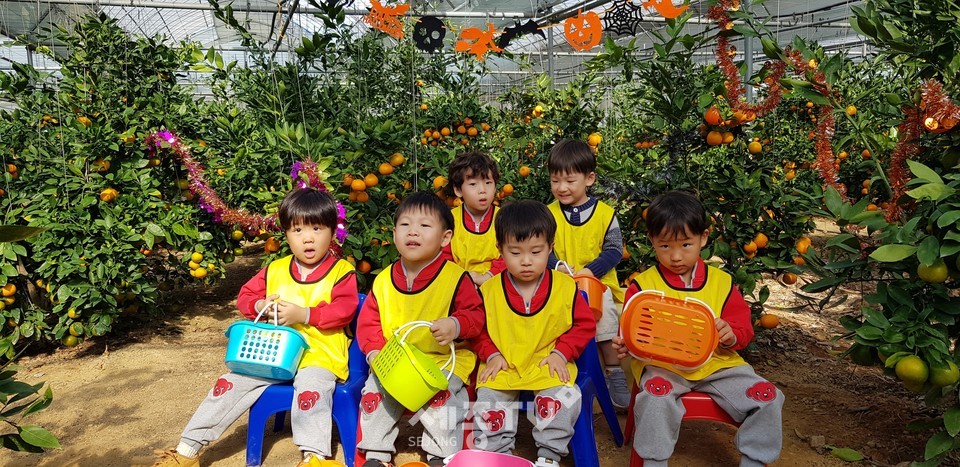 어린이들이 감귤농장에 방문한 모습.(사진제공=천안시청)