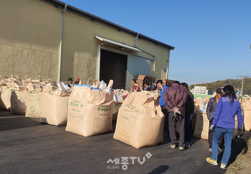 천안시 태풍피해 벼 수매현장 모습.(사진제공=천안시청)