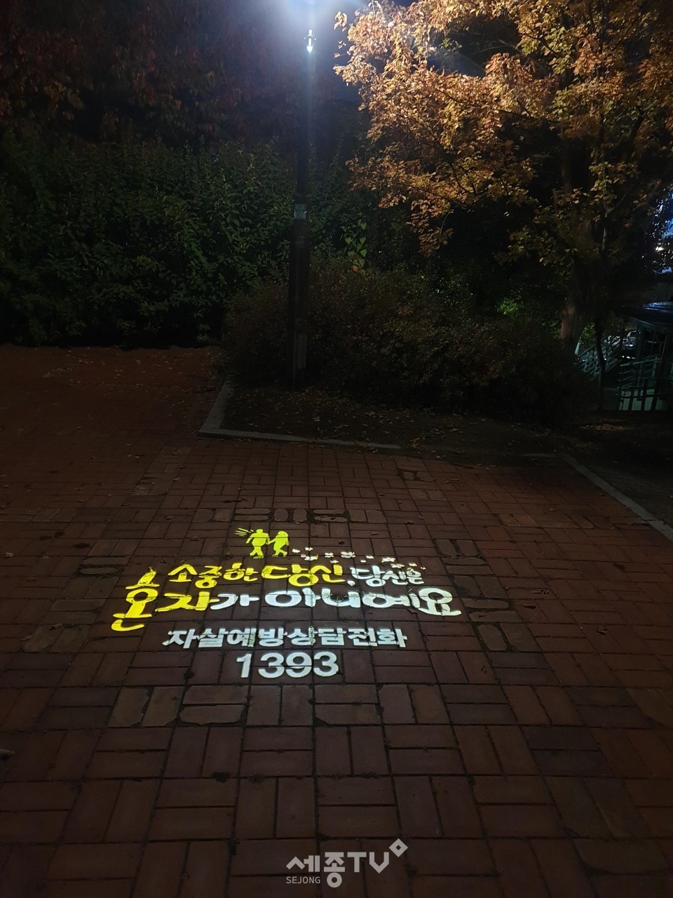 천안시 서북구보건소가 두정동 북부제1공원에 설치한 로고젝터 모습.(사진제공=천안시청)