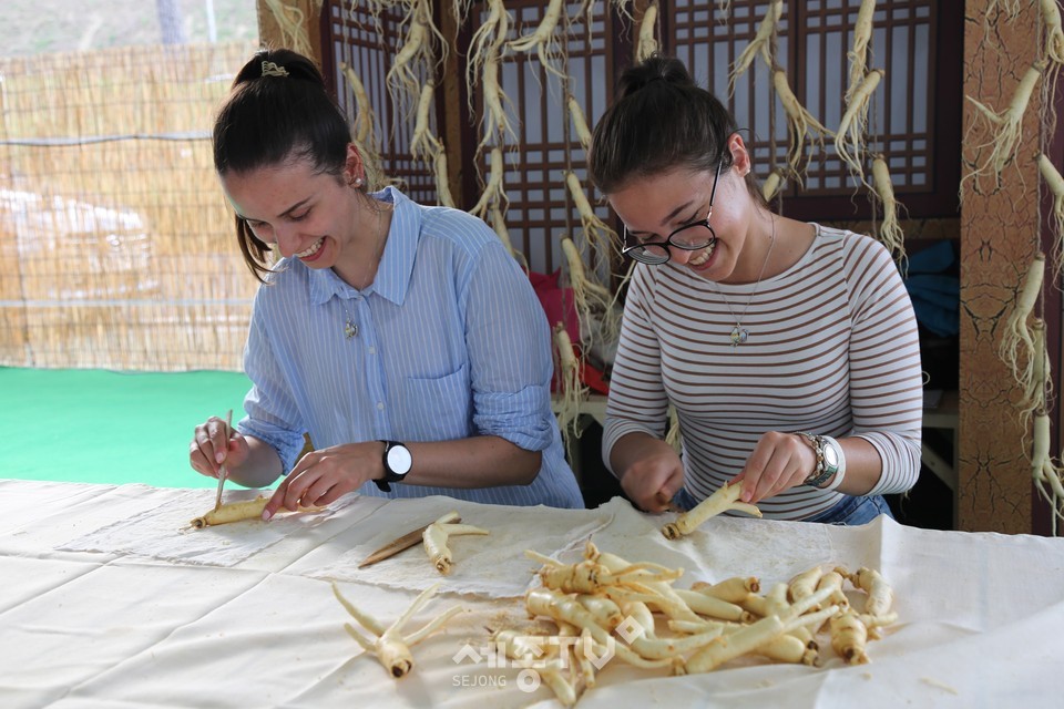 금산인삼축제 체험 모습.(사진제공=금산군청)
