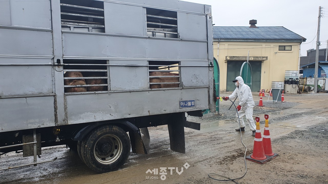 축산 관계차량 방역 소독 모습. (사진제공=금산군청)