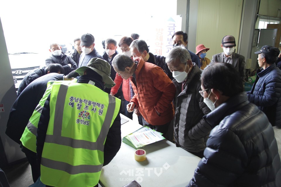 농업기술센터, 금산군 농산물 병해충예찰조사원 현장투입. (사진제공=금산군청)