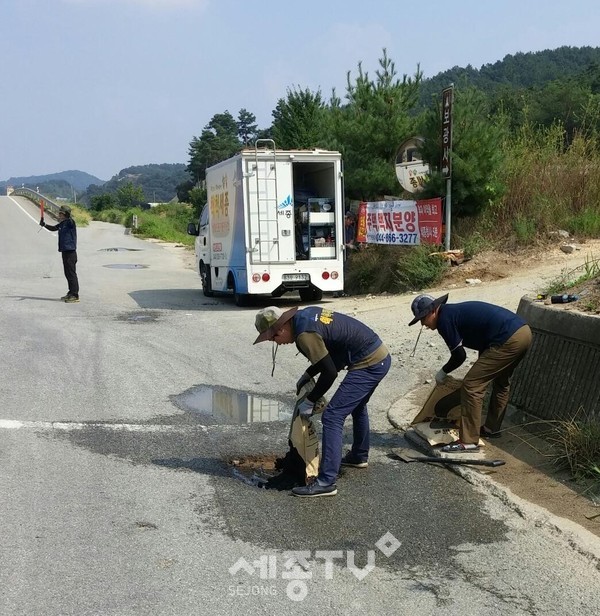 척척세종도로포트홀정비