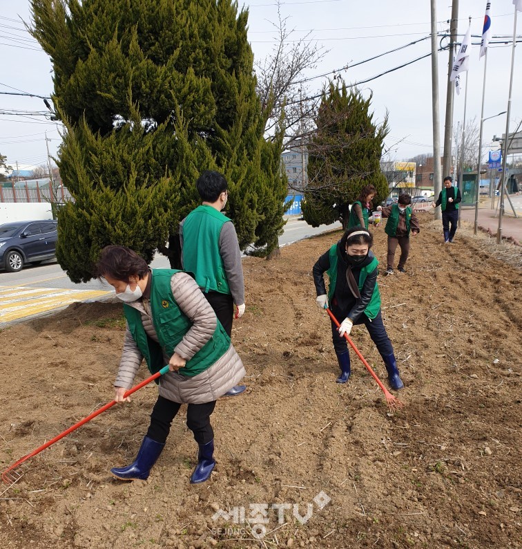 천안시 부성1동과 새마을부녀회가 지난 13일 청사 앞 1번 국도 주변에 유채꽃씨 파종을 실시했다.(사진제공=천안시청)