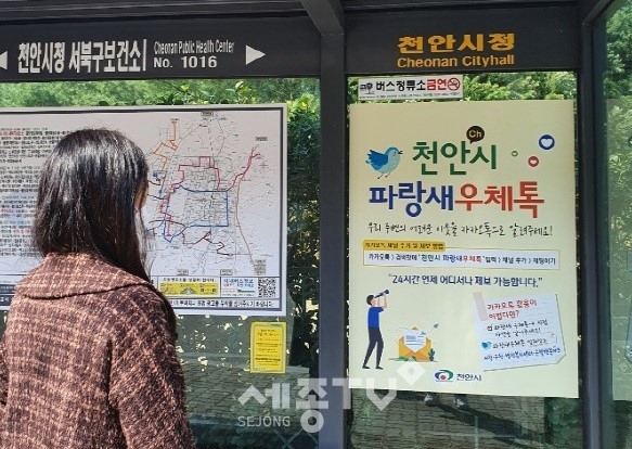 한 시민이 버스승강장에 부착된 천안시파랑새우체톡 홍보물을 보고 있다. (사진제공=천안시청)