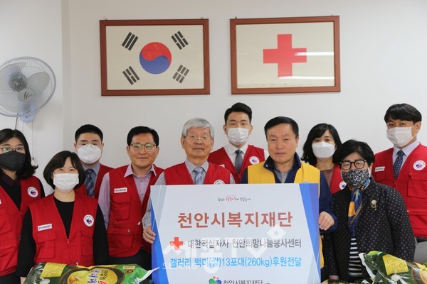 천안시복지재단이 지난 14일 대한적십자사 천안희망나눔봉사센터를 방문해 갤러리 쌀 260kg 기부와 도시락 봉사활동을 수행해 기념사진을 촬영하고 있다.(가운데 왼쪽부터 최창호 천안시복지재단 상임이사, 김갑쇠 천안시복지재단 이사장, 이은상 대한적십자사천안지구협의회장, 박말순 대한적십자사천안지구협의회 실장 외 천안시복지재단 직원일동) 사진제공=천안시청