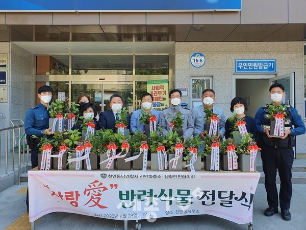 천안시 신안동 행복키움지원단이 28일 관내 독거노인 및 중증장애인 가구에 사랑의 밑반찬과 반려식물을 전달했다. (사진제공=천안시청)