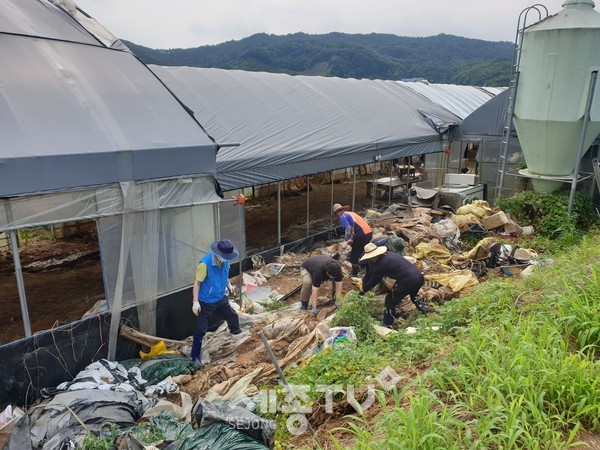 천안시시설관리공단 임직원 40여 명이 14일 천안 수신면을 찾아 수해복구를 위한 봉사활동에 동참하고 있다. (사진제공=천안시청)