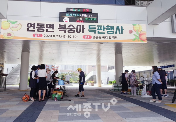 연동면,복숭아특판행사장. (사진제공=세종시청)