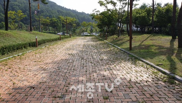 혁신시제품소금살포 전.