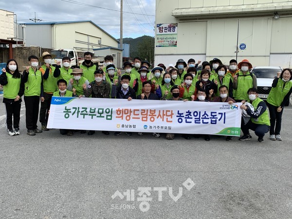 충남농협 임직원과 육군 32사단 장병 및 농가주부모임 회원들이 알밤 수확 농촌 봉사활동을 펼치고 고향주부모임 회원들이 봉사자들의 중식을 지원하며 풍년농사를 기원했다.(사진제공=충남농협)