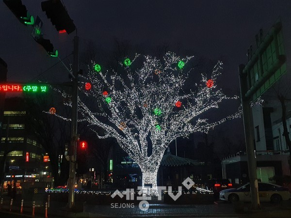 진악지구대 앞 도시숲 야간 경관조명.