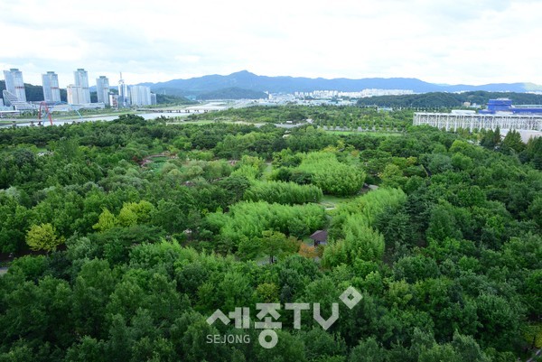 대전시, 2050년 순(純)탄소배출량 제로화를 향해 전력-도시숲 한밭수목원