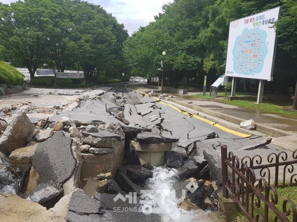 시설공사과,태조산공원 피해상황 모습.