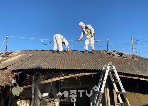 슬레이트 철거·처리 지원 모습