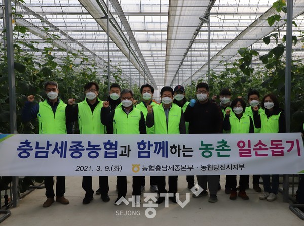 충남세종농협 길정섭 본부장(왼쪽 세번째), 석문농협 류재신 조합장(왼쪽 네번째), 농협당진시지부 조원상 지부장(왼쪽 두번째)이 위풍당당 스마트팜 농장에서 9일 일손돕기를 실시했다.(충남세종농협 지역본부)