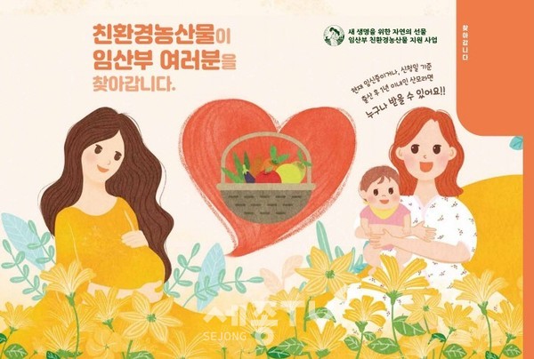 임산부 친환경농산물 지원사업 홍보 브로슈어.(사진=당진시)