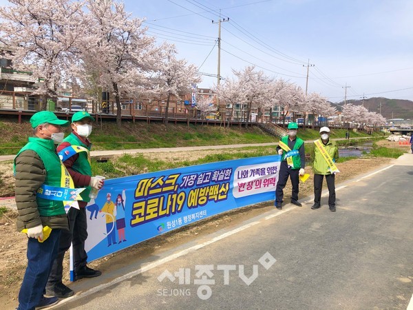 천안시 원성1동 예찰단이 1일 벚나무 군락지인 원성천을 중심으로 예찰활동을 실시했다.(사진=천안시)