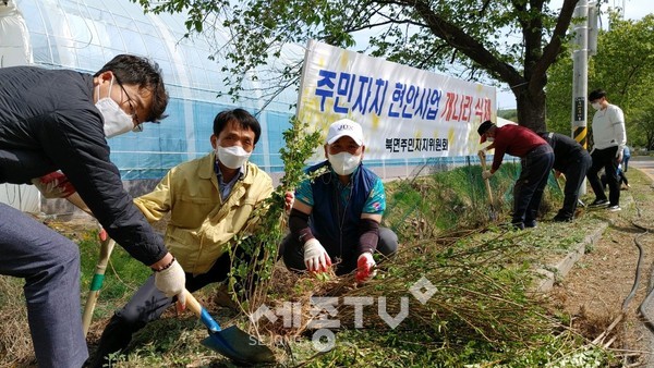 천안시 북면 주민자치위원회가 26일 은석초등학교 앞 도로 인근에 개나리 묘목을 식재했다.(사진=천안시)