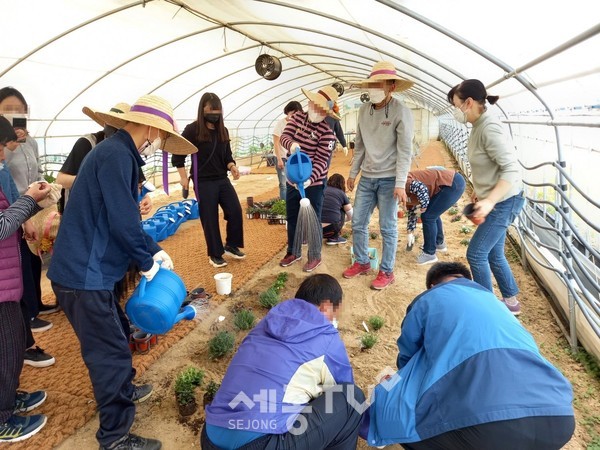 사회적농업활동,교통장애인