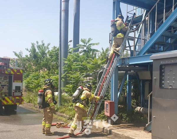 팀워크전술훈련(세종소방서)