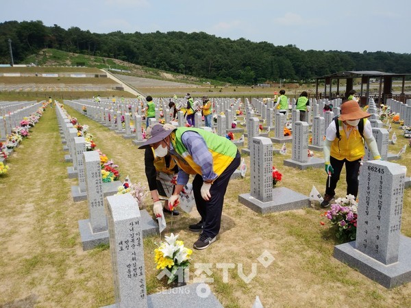 대전 서구 자원봉사협의회는 2일 대전국립현충원에서 40여 명이 참석한 가운데 태극기꽂이 봉사활동을 가졌다.(사진=서구청)