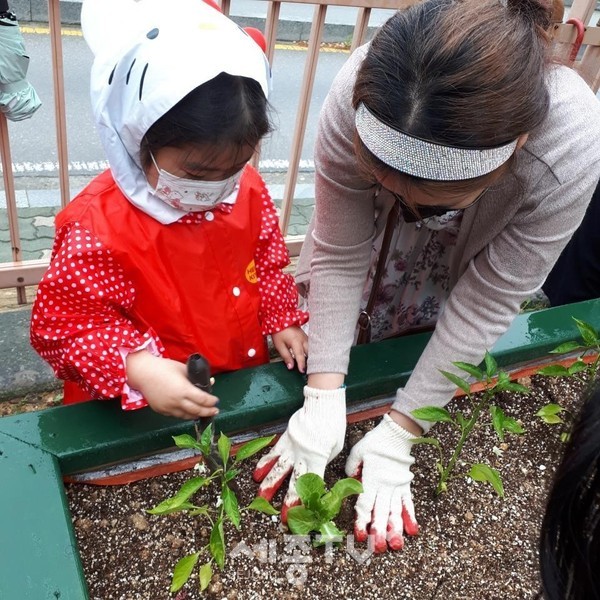 천안시 내 아파트에서 천안시농업기술센터에서 진행 중인 ‘아파트 도시농업 공동문화 프로그램’에 참여하고 있다.(사진=천안시)