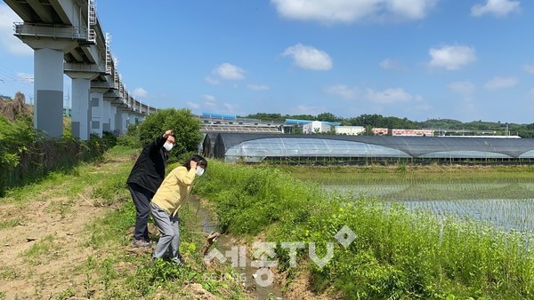 응암1리 배수로점검(연동면)