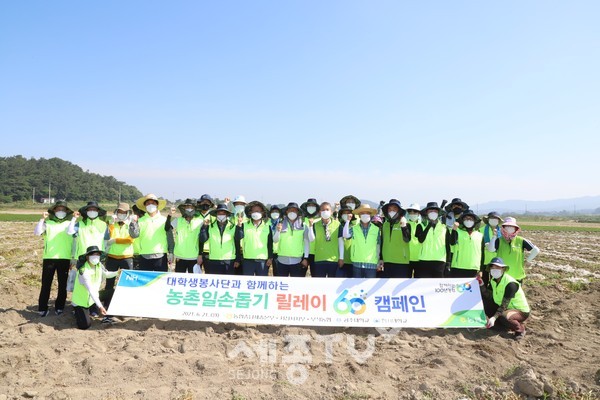 충남세종농협(본부장 길정섭), 공주대학교와 한서대학교 학생봉사단, 농협서산시지부(지부장 이성구), 부석농협(조합장 우상원) 임직원 등 50여명은 21일 서산시 부석면 봉락리를 찾아 마늘 수확 농촌일손돕기 합동 봉사활동을 펼쳤다.(사진=충남세종농협)