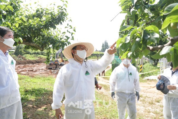 박상돈 천안시장이 지난 12일 천안 성환읍 성월리 공적방제 현장을 점검했다.