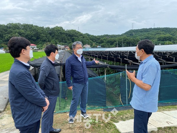 길정섭 충남세종농협본부장(가운데), 양환성 농협금산군지부장(왼쪽), 강상묵 백제금산인삼농협조합장(왼쪽 두 번째)이 금산군 부리면 인삼재배 농가를 찾아 장마철 호우피해 예방을 위한 사전 예찰활동을 벌이고 있다.(사진=충남세종농협)