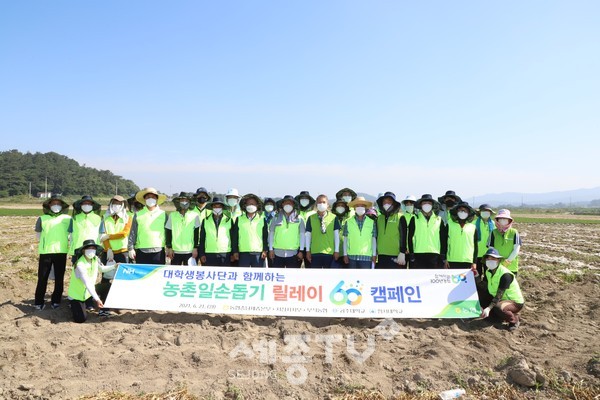지난 6월21일 충남세종농협 임직원과 공주대학교, 한서대학교 봉사단원들이 서산시 부석면 마늘농가를 찾아 일손돕기 봉사활동을 펼치기에 앞서 기념촬영을 하고 있다.
