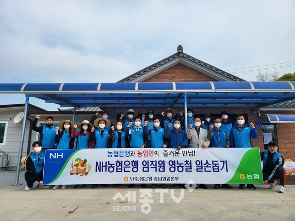 여운철 NH농협은행 충남영업본부장(오른쪽 다섯번째)과 직원들은 청양군 화성면 수정리마을을 찾아 농촌일손돕기 봉사활동을 펼쳤다.