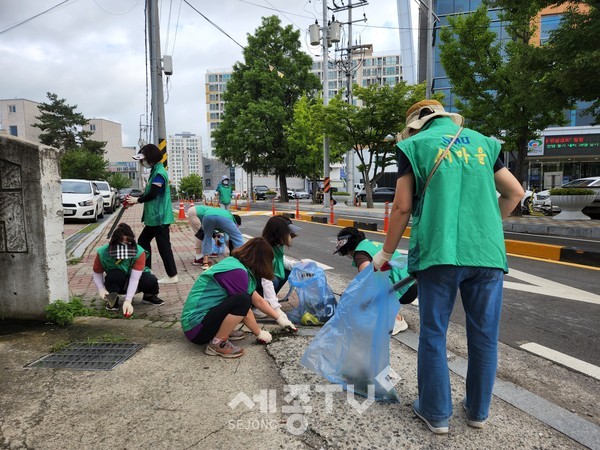 직산읍 새마을부녀회회원들이 5일 직산읍 도로변 환경정비 작업을 하고 있다.
