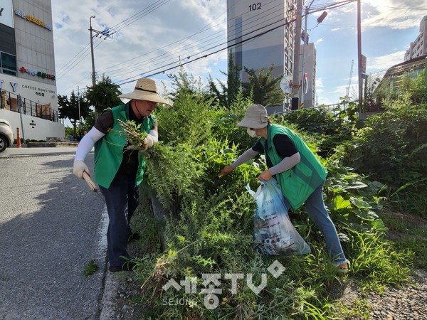 직산읍 새마을부녀회회원들이 5일 직산읍 도로변 잡초제거 작업을 하고 있다.