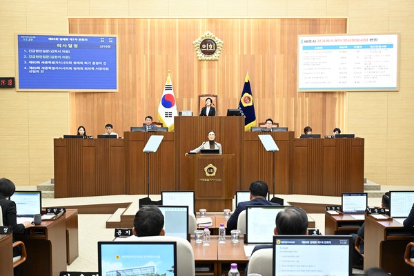 긴급현안 김현미./사진제공=세종특별자치시의회