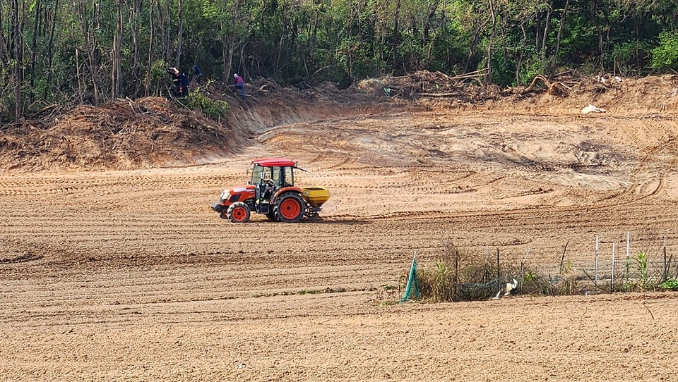 -성심당 밀밭조성 현장사진