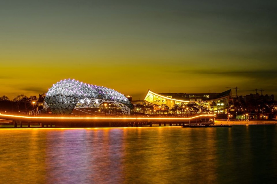 세종호수공원 야경