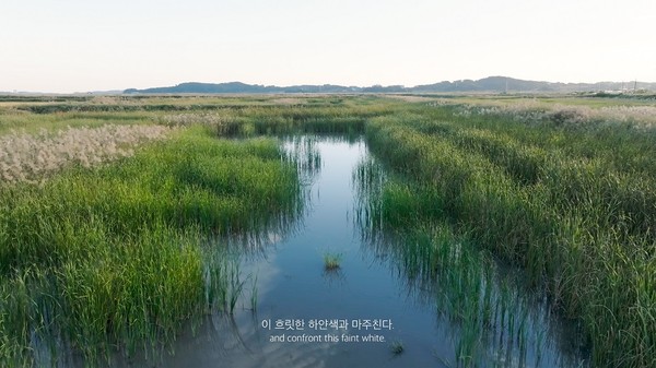 박지혜 직 -경계의 지면들