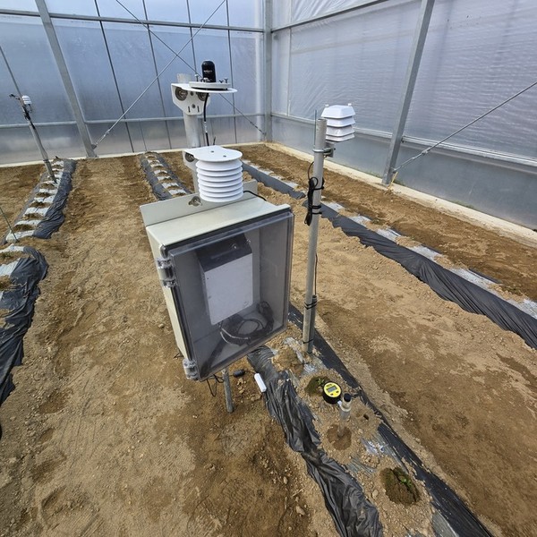 ▲ 구기자_관비재배_시험_착수