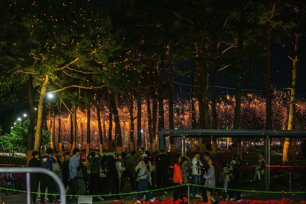 2025세종낙화축제