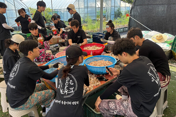전북 완주군 고산면의 한 농가에서 목원대 학생들이 마늘까기 봉사를 하고 있다./사진제공=목원대