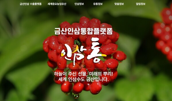 사진=금산군 인삼통 홈페이지 캡처