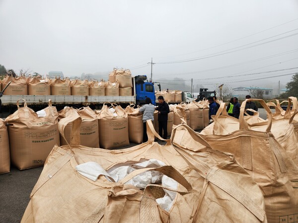 세종시가 2025년산 공공비축미곡 건조벼 매입을 하고있다.(사진=세종시 농업정책과)