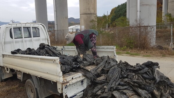 폐비닐 수거 모습/사진=금산군 환경위생과