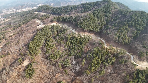 금산군 부리면 현내리~예미리 간선임도/사진=금산군 산림녹지과