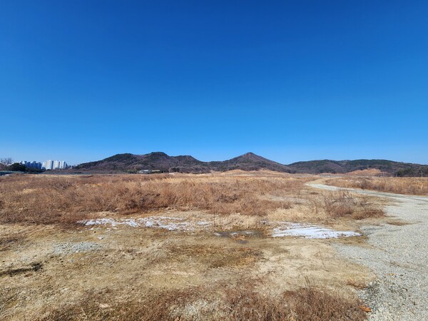 대통령 세종집무실 건설부지 전경 (사진 노재균 기자)